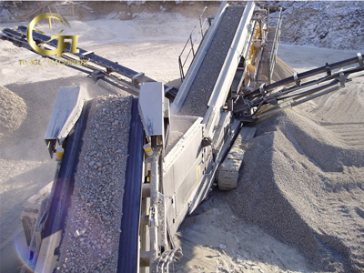 Belt Conveyor oversea customer case